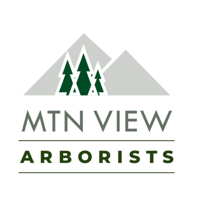 MTN View Arborists